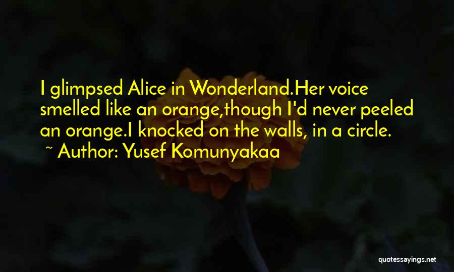 Yusef Komunyakaa Quotes: I Glimpsed Alice In Wonderland.her Voice Smelled Like An Orange,though I'd Never Peeled An Orange.i Knocked On The Walls, In