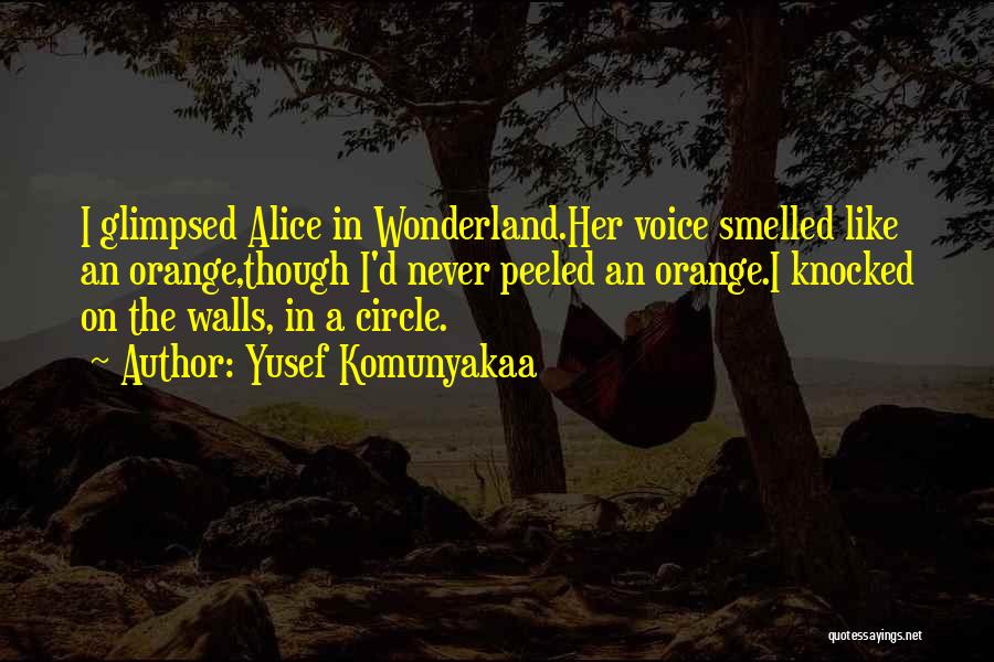 Yusef Komunyakaa Quotes: I Glimpsed Alice In Wonderland.her Voice Smelled Like An Orange,though I'd Never Peeled An Orange.i Knocked On The Walls, In