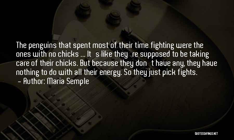 Maria Semple Quotes: The Penguins That Spent Most Of Their Time Fighting Were The Ones With No Chicks ... It's Like They're Supposed