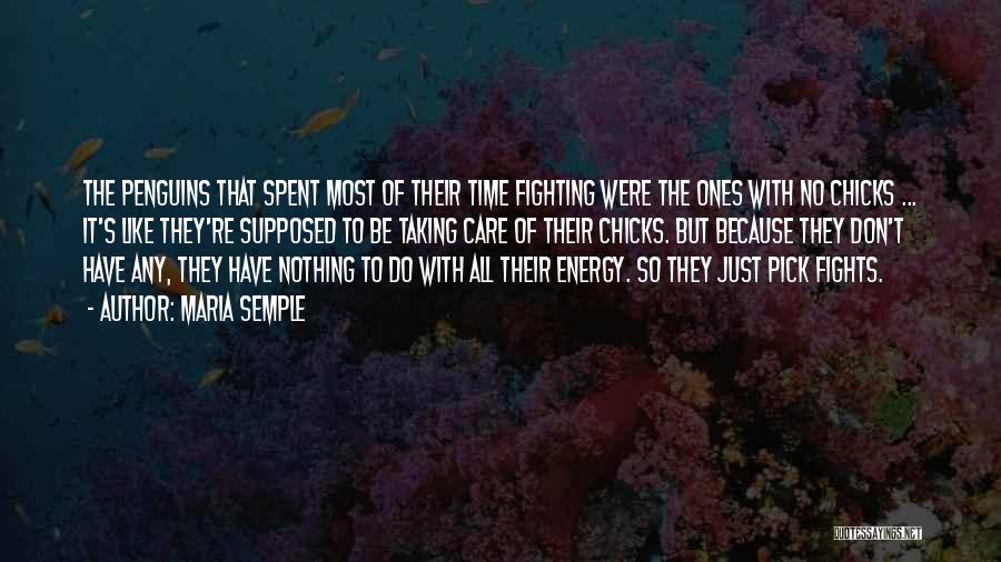 Maria Semple Quotes: The Penguins That Spent Most Of Their Time Fighting Were The Ones With No Chicks ... It's Like They're Supposed