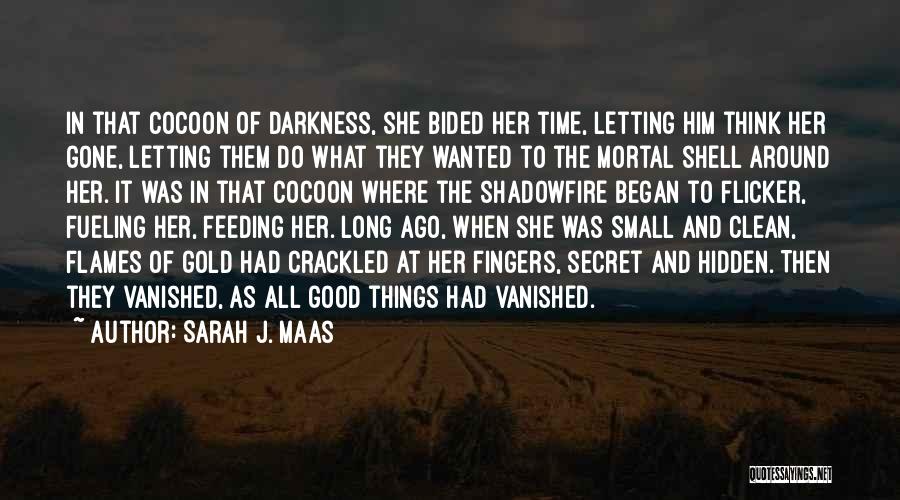 Sarah J. Maas Quotes: In That Cocoon Of Darkness, She Bided Her Time, Letting Him Think Her Gone, Letting Them Do What They Wanted