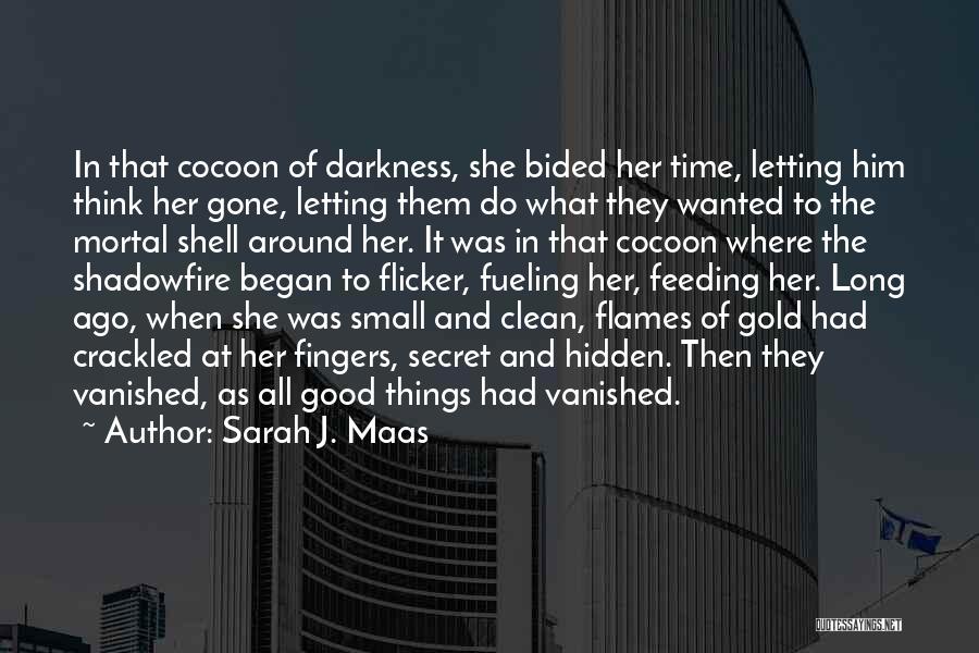 Sarah J. Maas Quotes: In That Cocoon Of Darkness, She Bided Her Time, Letting Him Think Her Gone, Letting Them Do What They Wanted