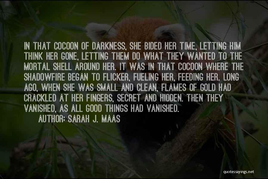Sarah J. Maas Quotes: In That Cocoon Of Darkness, She Bided Her Time, Letting Him Think Her Gone, Letting Them Do What They Wanted