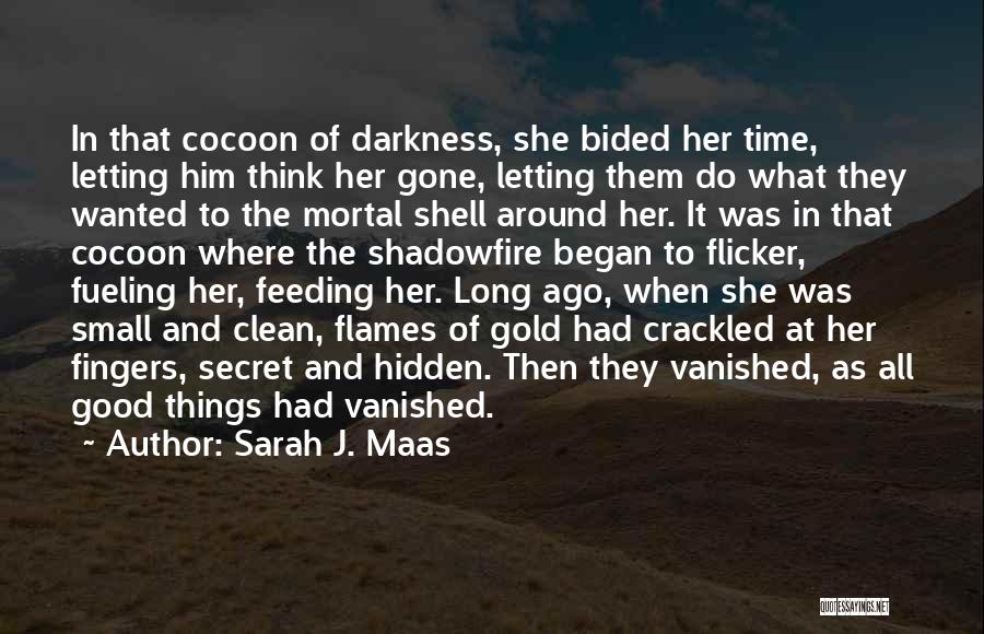 Sarah J. Maas Quotes: In That Cocoon Of Darkness, She Bided Her Time, Letting Him Think Her Gone, Letting Them Do What They Wanted