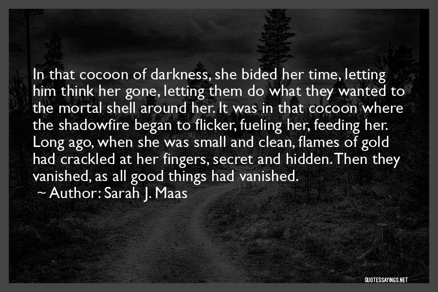 Sarah J. Maas Quotes: In That Cocoon Of Darkness, She Bided Her Time, Letting Him Think Her Gone, Letting Them Do What They Wanted