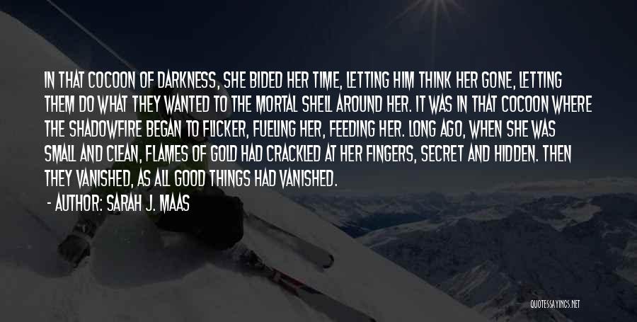 Sarah J. Maas Quotes: In That Cocoon Of Darkness, She Bided Her Time, Letting Him Think Her Gone, Letting Them Do What They Wanted