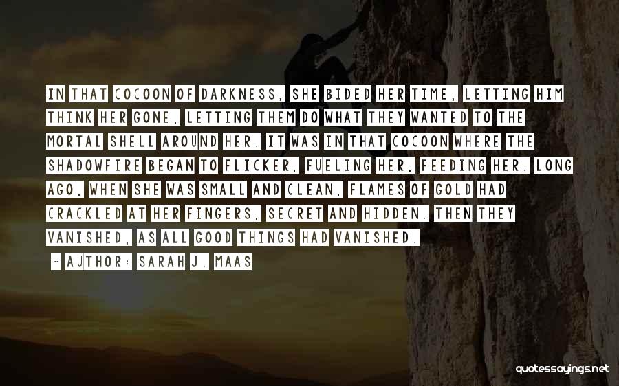 Sarah J. Maas Quotes: In That Cocoon Of Darkness, She Bided Her Time, Letting Him Think Her Gone, Letting Them Do What They Wanted