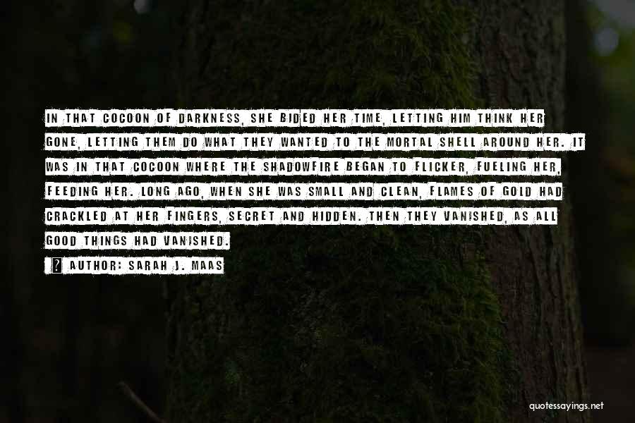 Sarah J. Maas Quotes: In That Cocoon Of Darkness, She Bided Her Time, Letting Him Think Her Gone, Letting Them Do What They Wanted