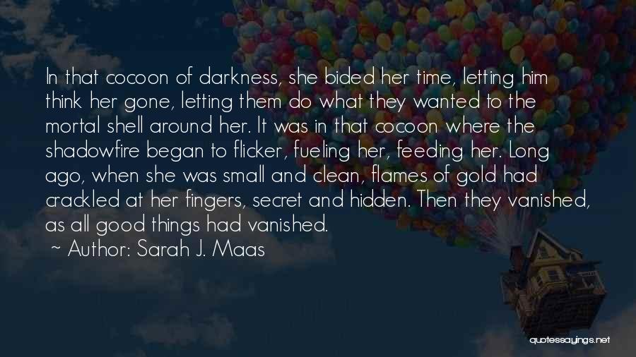 Sarah J. Maas Quotes: In That Cocoon Of Darkness, She Bided Her Time, Letting Him Think Her Gone, Letting Them Do What They Wanted
