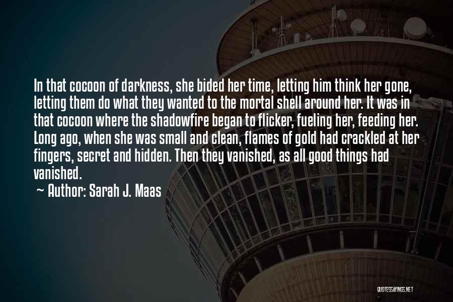 Sarah J. Maas Quotes: In That Cocoon Of Darkness, She Bided Her Time, Letting Him Think Her Gone, Letting Them Do What They Wanted