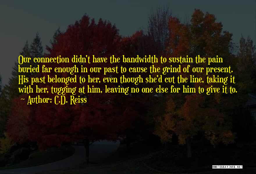 C.D. Reiss Quotes: Our Connection Didn't Have The Bandwidth To Sustain The Pain Buried Far Enough In Our Past To Cause The Grind