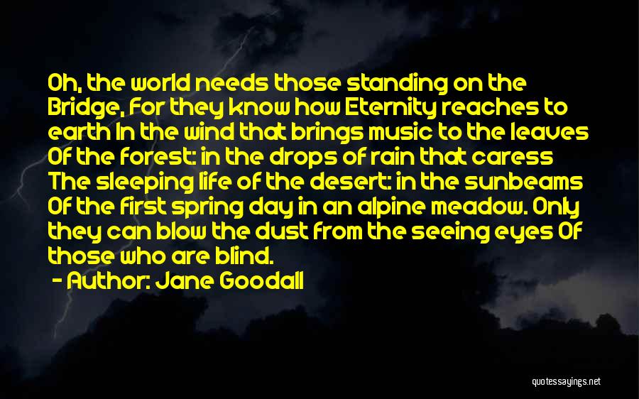 Jane Goodall Quotes: Oh, The World Needs Those Standing On The Bridge, For They Know How Eternity Reaches To Earth In The Wind