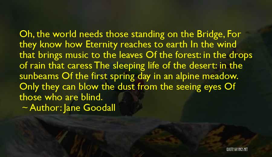 Jane Goodall Quotes: Oh, The World Needs Those Standing On The Bridge, For They Know How Eternity Reaches To Earth In The Wind