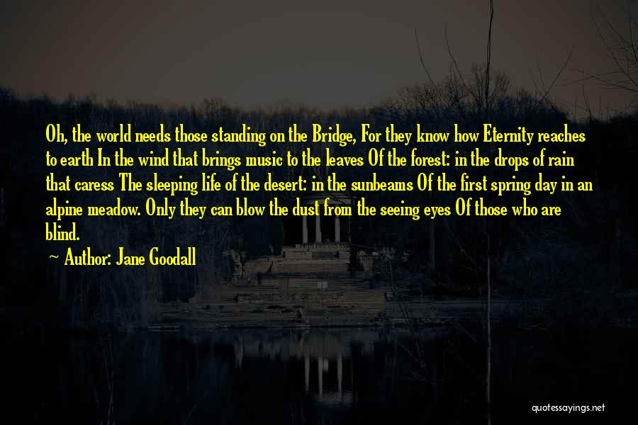 Jane Goodall Quotes: Oh, The World Needs Those Standing On The Bridge, For They Know How Eternity Reaches To Earth In The Wind