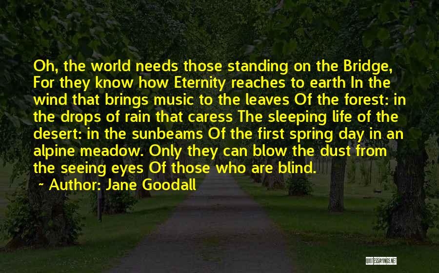 Jane Goodall Quotes: Oh, The World Needs Those Standing On The Bridge, For They Know How Eternity Reaches To Earth In The Wind