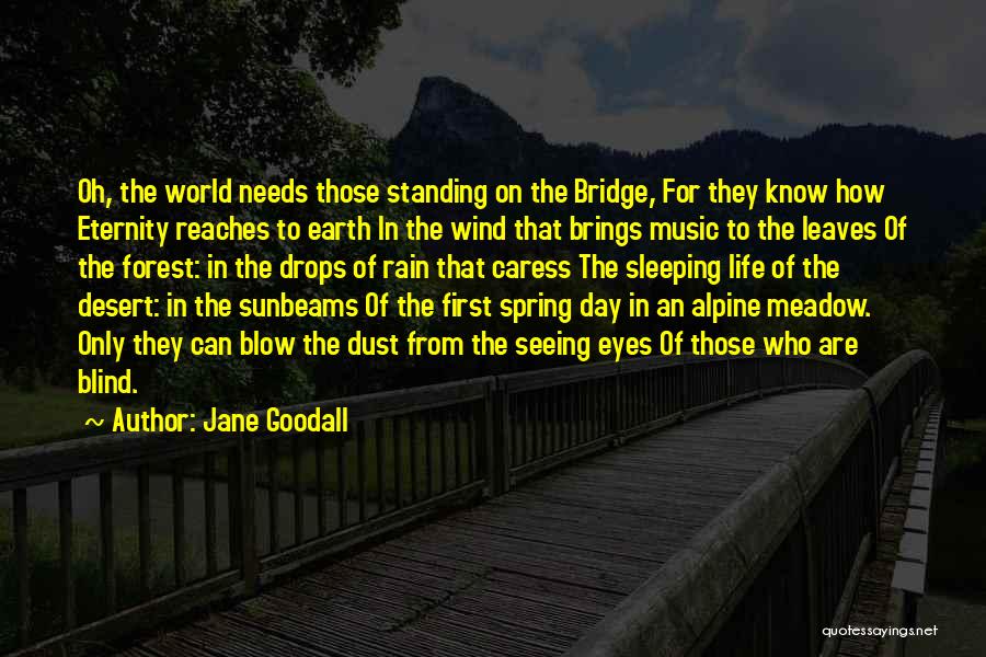 Jane Goodall Quotes: Oh, The World Needs Those Standing On The Bridge, For They Know How Eternity Reaches To Earth In The Wind