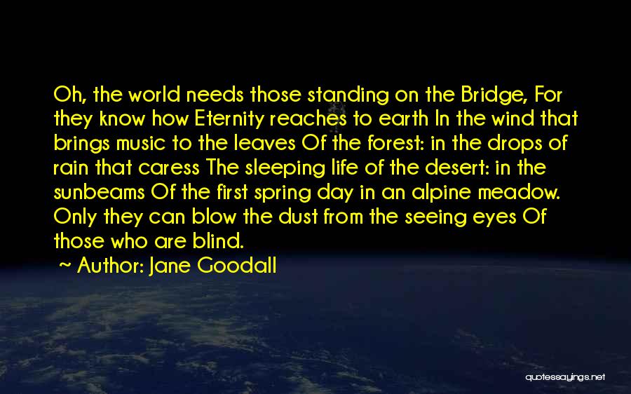 Jane Goodall Quotes: Oh, The World Needs Those Standing On The Bridge, For They Know How Eternity Reaches To Earth In The Wind