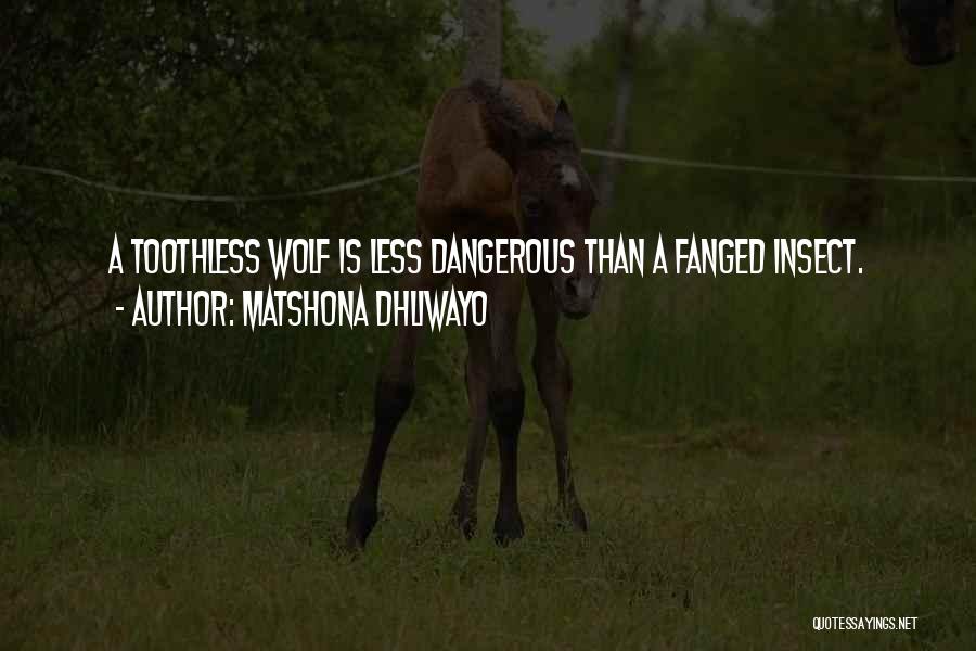 Matshona Dhliwayo Quotes: A Toothless Wolf Is Less Dangerous Than A Fanged Insect.