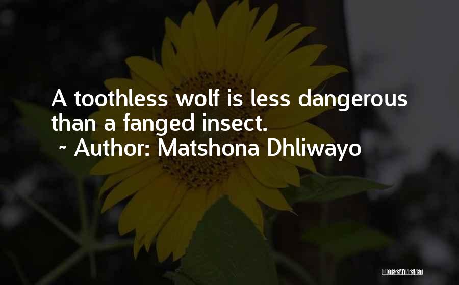Matshona Dhliwayo Quotes: A Toothless Wolf Is Less Dangerous Than A Fanged Insect.