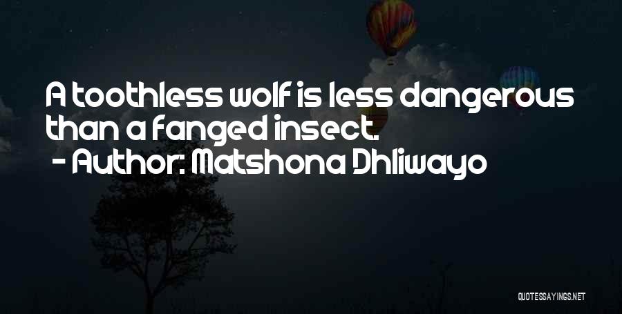 Matshona Dhliwayo Quotes: A Toothless Wolf Is Less Dangerous Than A Fanged Insect.