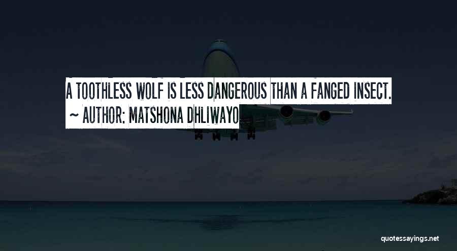 Matshona Dhliwayo Quotes: A Toothless Wolf Is Less Dangerous Than A Fanged Insect.