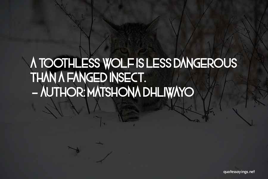 Matshona Dhliwayo Quotes: A Toothless Wolf Is Less Dangerous Than A Fanged Insect.