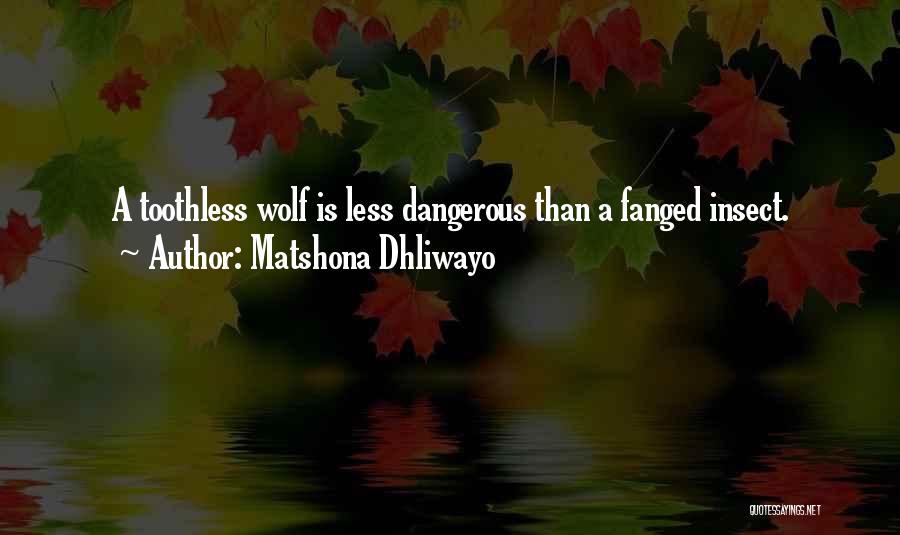 Matshona Dhliwayo Quotes: A Toothless Wolf Is Less Dangerous Than A Fanged Insect.