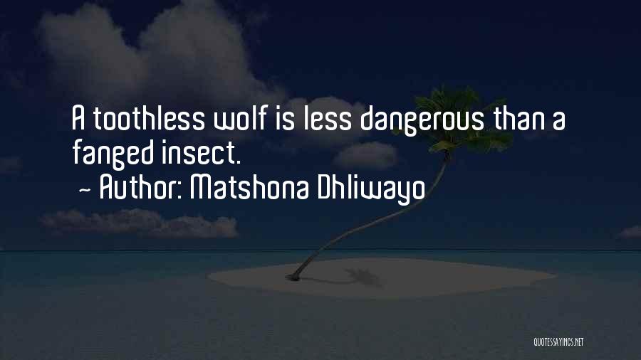 Matshona Dhliwayo Quotes: A Toothless Wolf Is Less Dangerous Than A Fanged Insect.