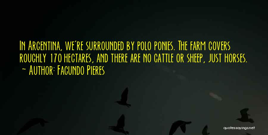 Facundo Pieres Quotes: In Argentina, We're Surrounded By Polo Ponies. The Farm Covers Roughly 170 Hectares, And There Are No Cattle Or Sheep,