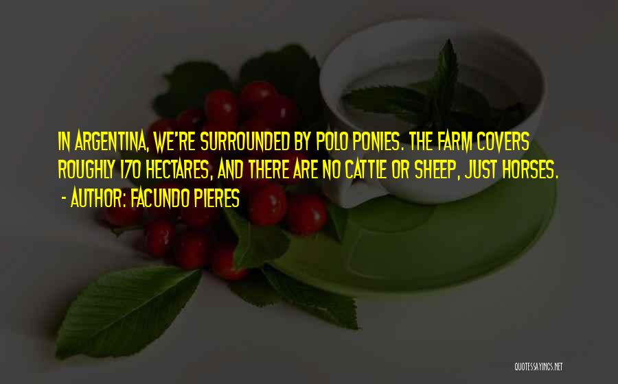 Facundo Pieres Quotes: In Argentina, We're Surrounded By Polo Ponies. The Farm Covers Roughly 170 Hectares, And There Are No Cattle Or Sheep,