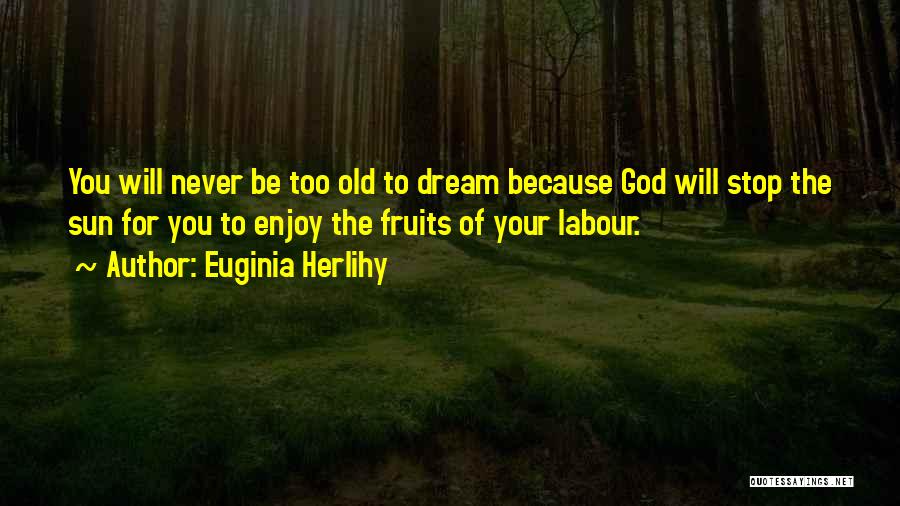 Euginia Herlihy Quotes: You Will Never Be Too Old To Dream Because God Will Stop The Sun For You To Enjoy The Fruits