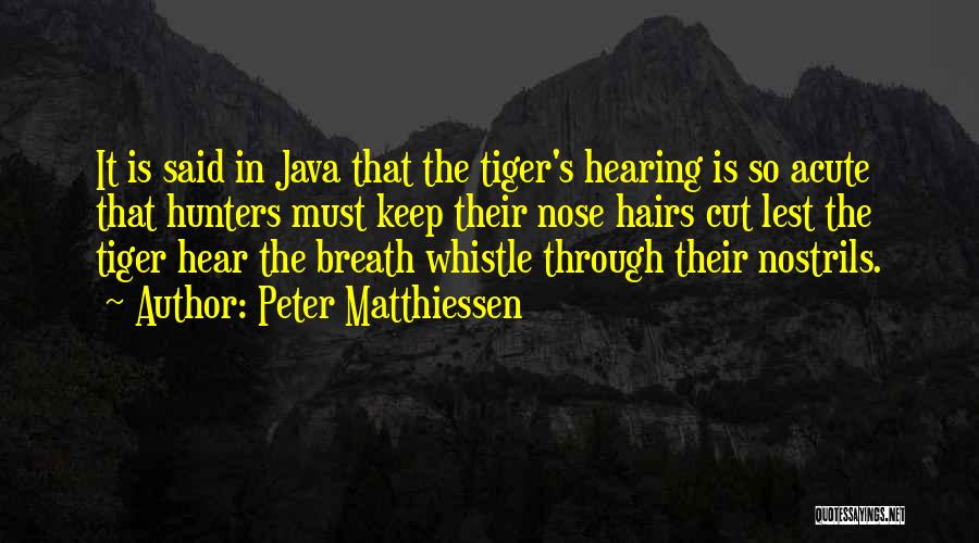 Peter Matthiessen Quotes: It Is Said In Java That The Tiger's Hearing Is So Acute That Hunters Must Keep Their Nose Hairs Cut