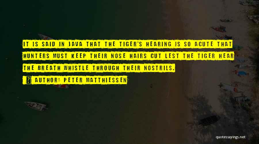 Peter Matthiessen Quotes: It Is Said In Java That The Tiger's Hearing Is So Acute That Hunters Must Keep Their Nose Hairs Cut