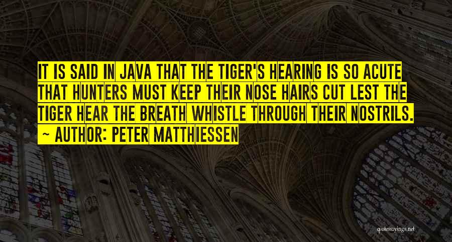 Peter Matthiessen Quotes: It Is Said In Java That The Tiger's Hearing Is So Acute That Hunters Must Keep Their Nose Hairs Cut