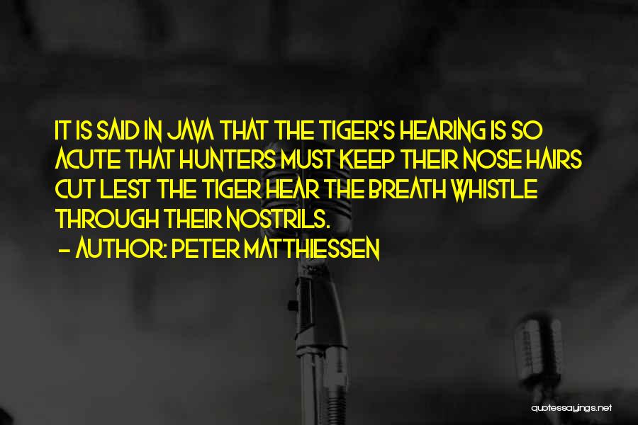 Peter Matthiessen Quotes: It Is Said In Java That The Tiger's Hearing Is So Acute That Hunters Must Keep Their Nose Hairs Cut