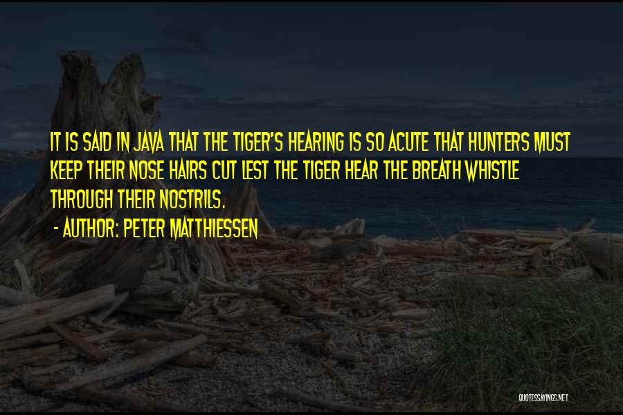 Peter Matthiessen Quotes: It Is Said In Java That The Tiger's Hearing Is So Acute That Hunters Must Keep Their Nose Hairs Cut