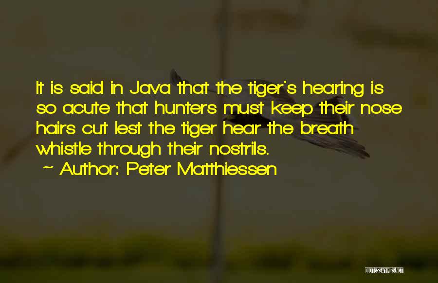 Peter Matthiessen Quotes: It Is Said In Java That The Tiger's Hearing Is So Acute That Hunters Must Keep Their Nose Hairs Cut