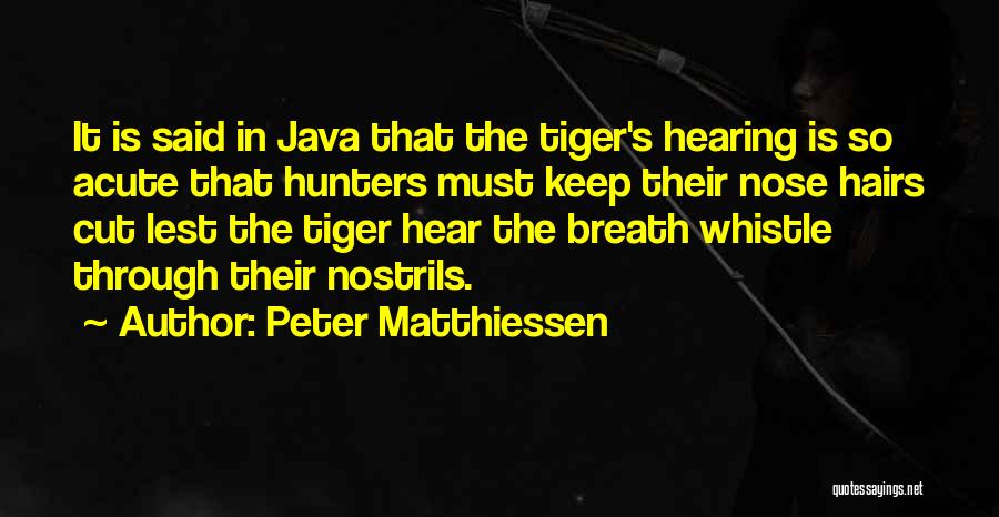 Peter Matthiessen Quotes: It Is Said In Java That The Tiger's Hearing Is So Acute That Hunters Must Keep Their Nose Hairs Cut