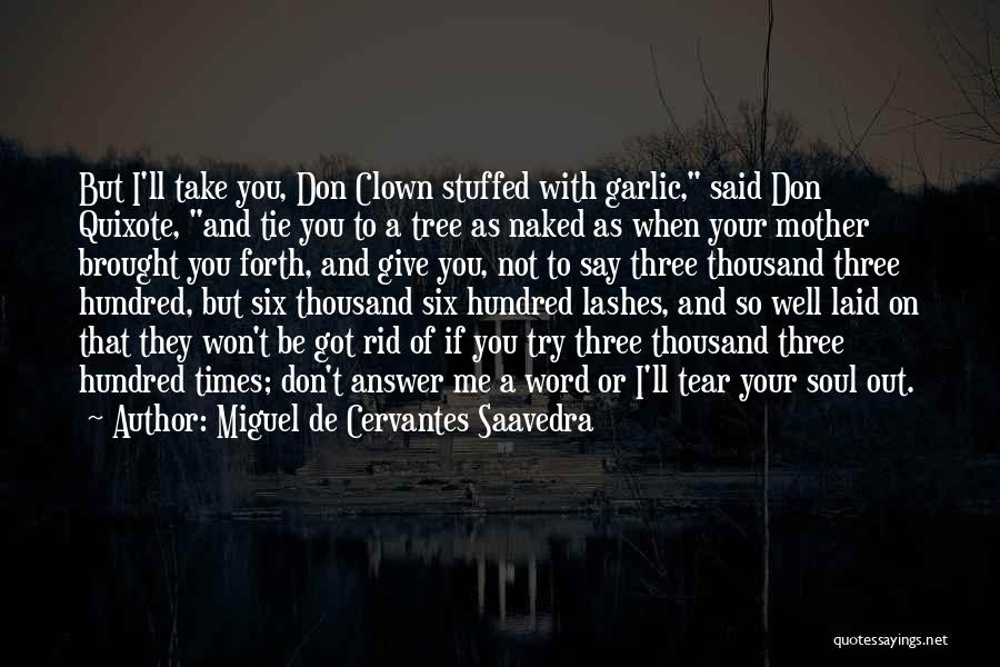 Miguel De Cervantes Saavedra Quotes: But I'll Take You, Don Clown Stuffed With Garlic, Said Don Quixote, And Tie You To A Tree As Naked