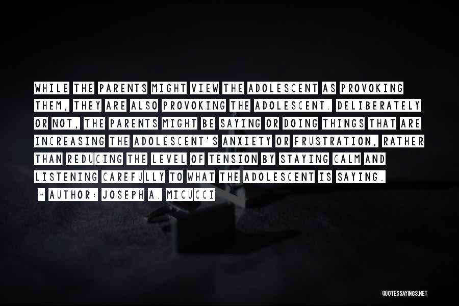 Joseph A. Micucci Quotes: While The Parents Might View The Adolescent As Provoking Them, They Are Also Provoking The Adolescent. Deliberately Or Not, The