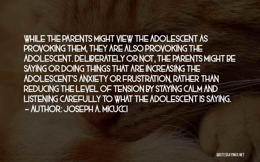 Joseph A. Micucci Quotes: While The Parents Might View The Adolescent As Provoking Them, They Are Also Provoking The Adolescent. Deliberately Or Not, The