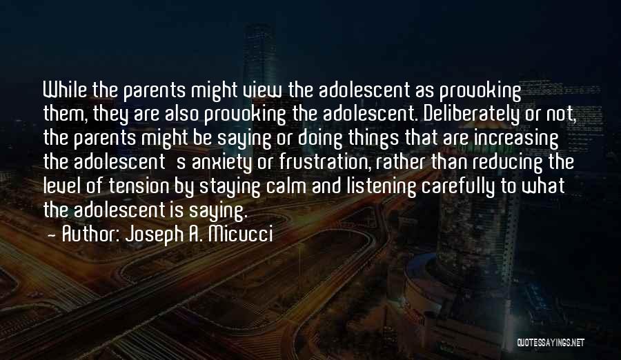 Joseph A. Micucci Quotes: While The Parents Might View The Adolescent As Provoking Them, They Are Also Provoking The Adolescent. Deliberately Or Not, The