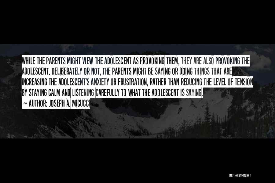 Joseph A. Micucci Quotes: While The Parents Might View The Adolescent As Provoking Them, They Are Also Provoking The Adolescent. Deliberately Or Not, The