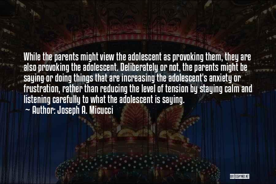 Joseph A. Micucci Quotes: While The Parents Might View The Adolescent As Provoking Them, They Are Also Provoking The Adolescent. Deliberately Or Not, The