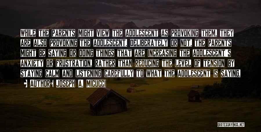 Joseph A. Micucci Quotes: While The Parents Might View The Adolescent As Provoking Them, They Are Also Provoking The Adolescent. Deliberately Or Not, The