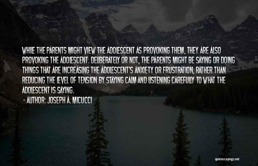 Joseph A. Micucci Quotes: While The Parents Might View The Adolescent As Provoking Them, They Are Also Provoking The Adolescent. Deliberately Or Not, The