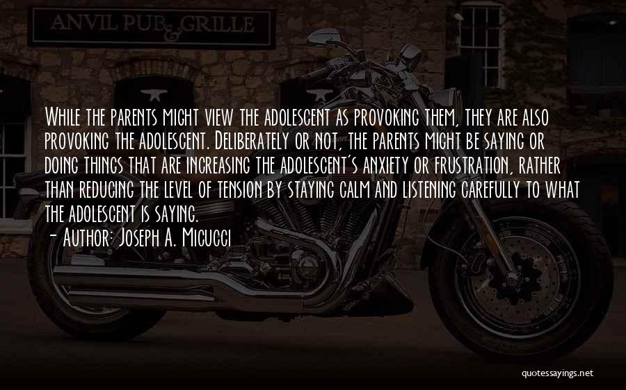 Joseph A. Micucci Quotes: While The Parents Might View The Adolescent As Provoking Them, They Are Also Provoking The Adolescent. Deliberately Or Not, The