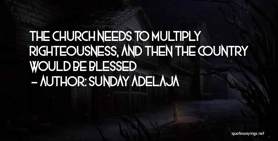 Sunday Adelaja Quotes: The Church Needs To Multiply Righteousness, And Then The Country Would Be Blessed