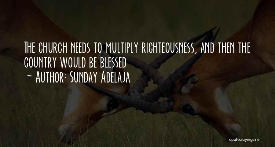 Sunday Adelaja Quotes: The Church Needs To Multiply Righteousness, And Then The Country Would Be Blessed