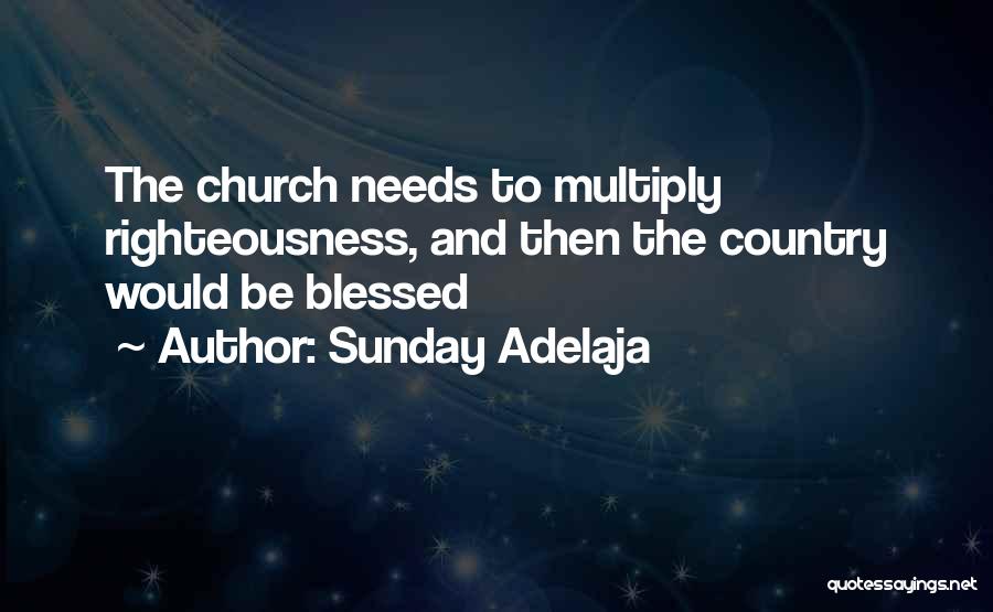 Sunday Adelaja Quotes: The Church Needs To Multiply Righteousness, And Then The Country Would Be Blessed